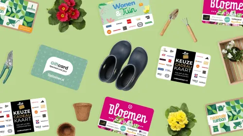 Dit zijn de 5 beste tuinbonnen van dit moment!